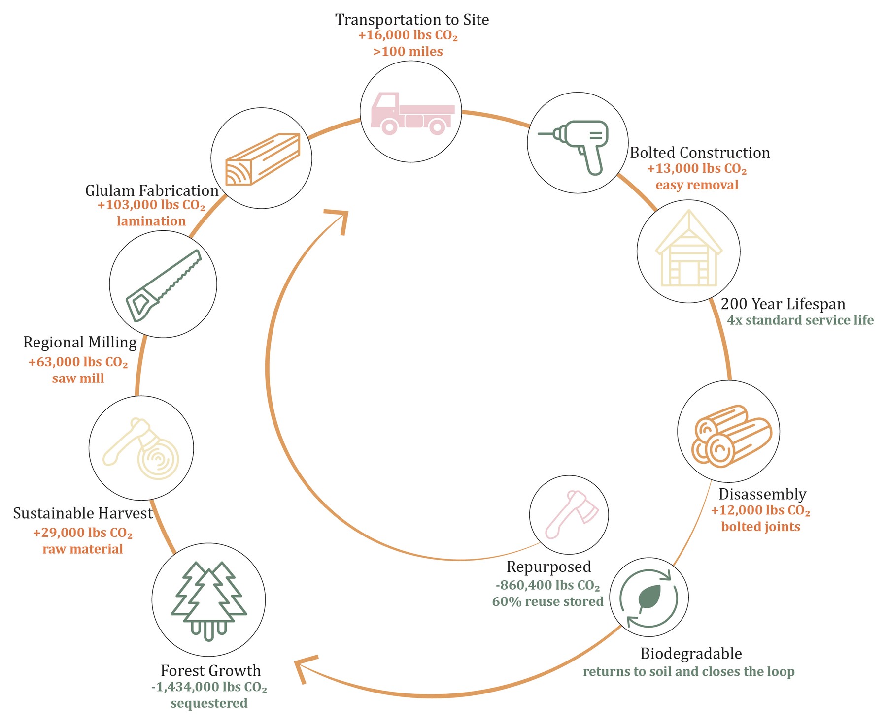 Timber lifecycle carbon diagram